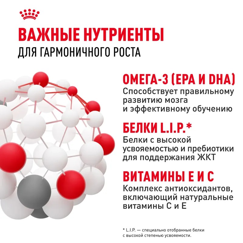 ROYAL CANIN Maxi Puppy сухой корм для щенков крупных пород 15кг 4627109387779