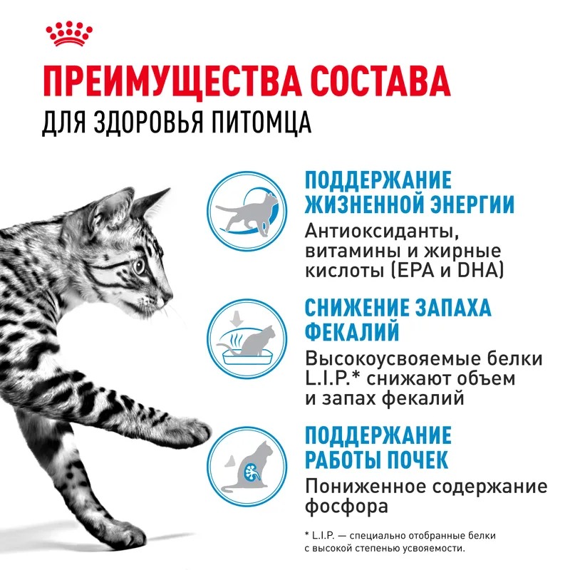 Royal Canin Indoor 7+,  Сухой корм для пожилых кошек живущих в помещении 3,5 кг