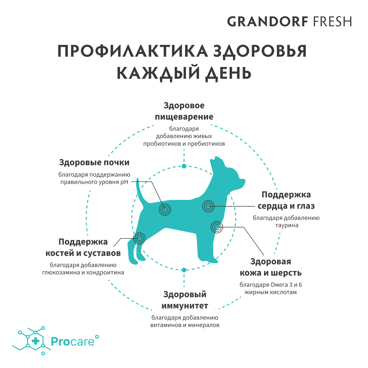 Grandorf Fresh Grandorf Сухой беззерновой корм для мелких собак с лососем 1 кг 5407007852819