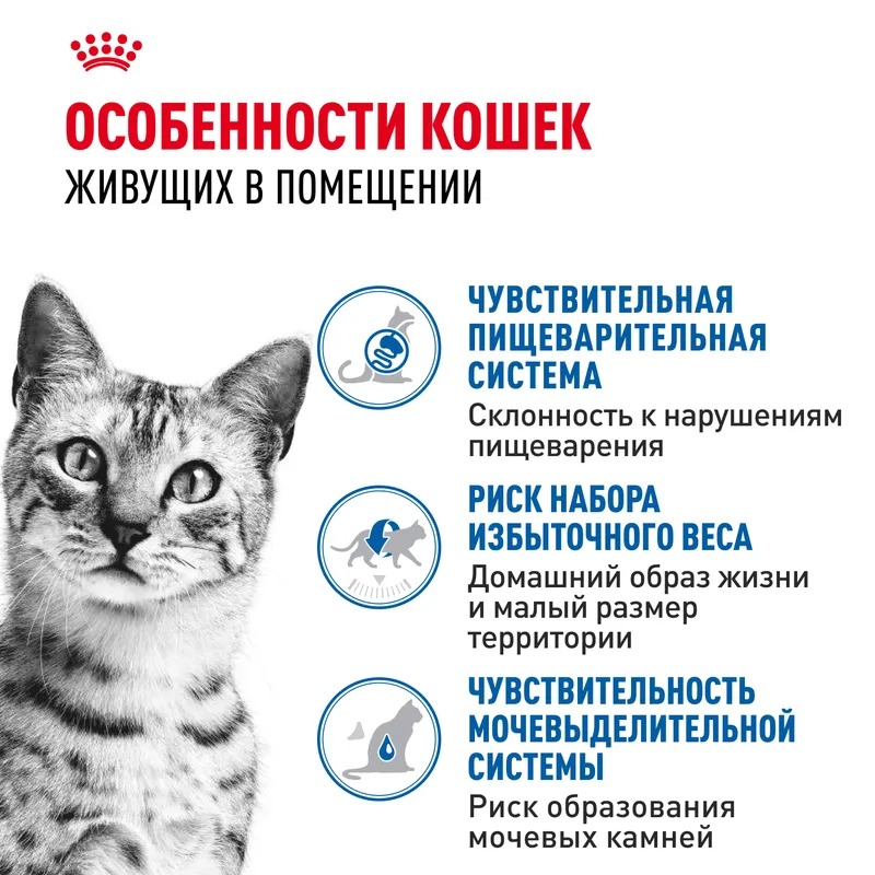 Royal Canin Indoor Sterilised Влажный корм для взрослых кошек живущих в помещении, кусочки в соусе, 85гр