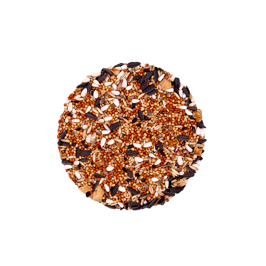 Корм Snax Daily д/волнистых попугаев 400 г