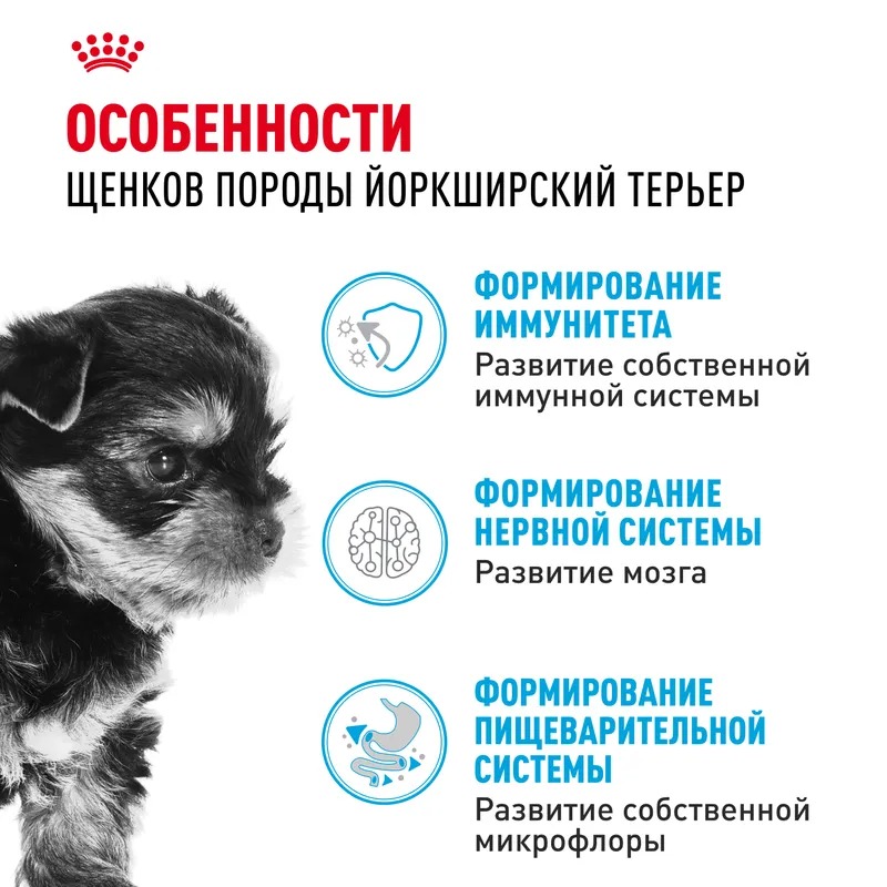 ROYAL CANIN Yorkshire Terrier Puppy Сухой корм для щенков Йорков 1,5 кг 4627109387908