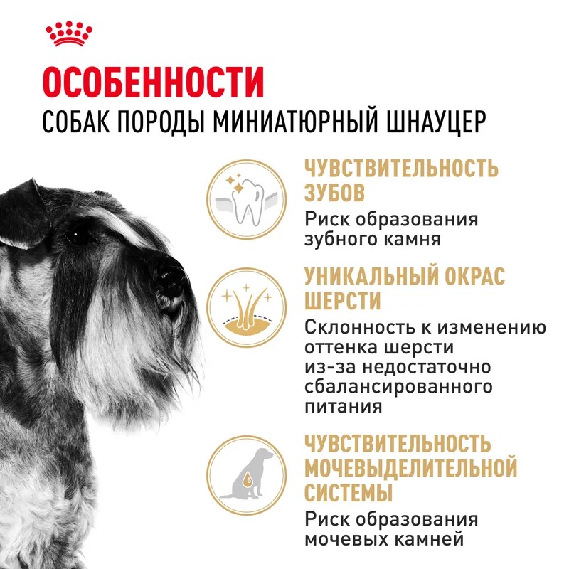 Сухой корм для собак Royal Canin Miniature Schnauzer Adult, для Миниатюрный Шнауцер 3 кг