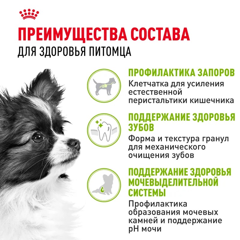 ROYAL CANIN X-Small Сухой корм для собак миниатюрных пород 3 кг 4627109386178
