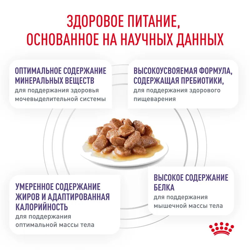 Влажный корм Royal Canin Neutered Maintenance для стерилизованных/кастрированных взрослых кошек с момента стерилизации и кастрации до 7 лет 85гр