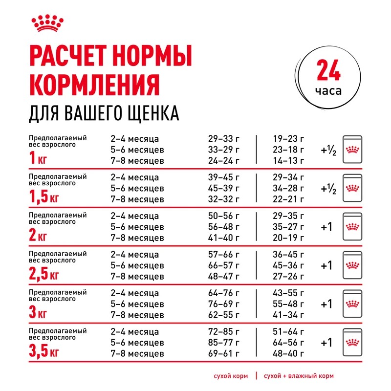 Royal Canin Сухой корм для щенков  Chihuahua Puppy, для породы Чихуахуа 1,5 кг