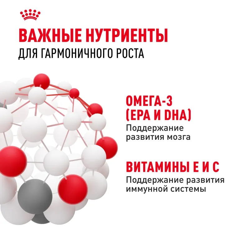 ROYAL CANIN Kitten Влажный корм для котят до 12 месяцев, в соусе, 1шт-85гр 4627150233865