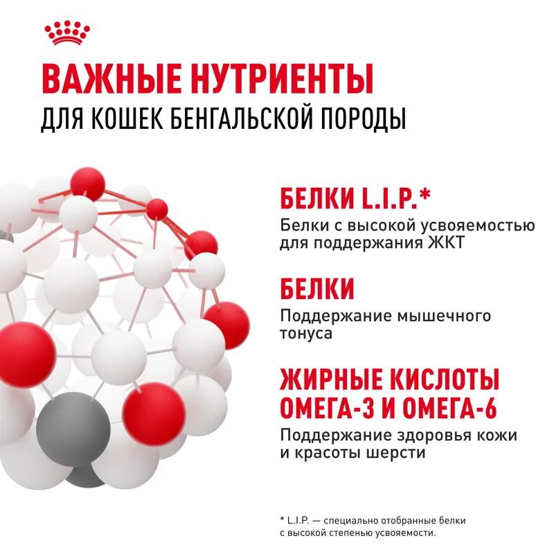Royal Canin Royal Сanin Bengal Adult сухой корм для взрослых бенгальских кошек старше 12 месяцев 400гр