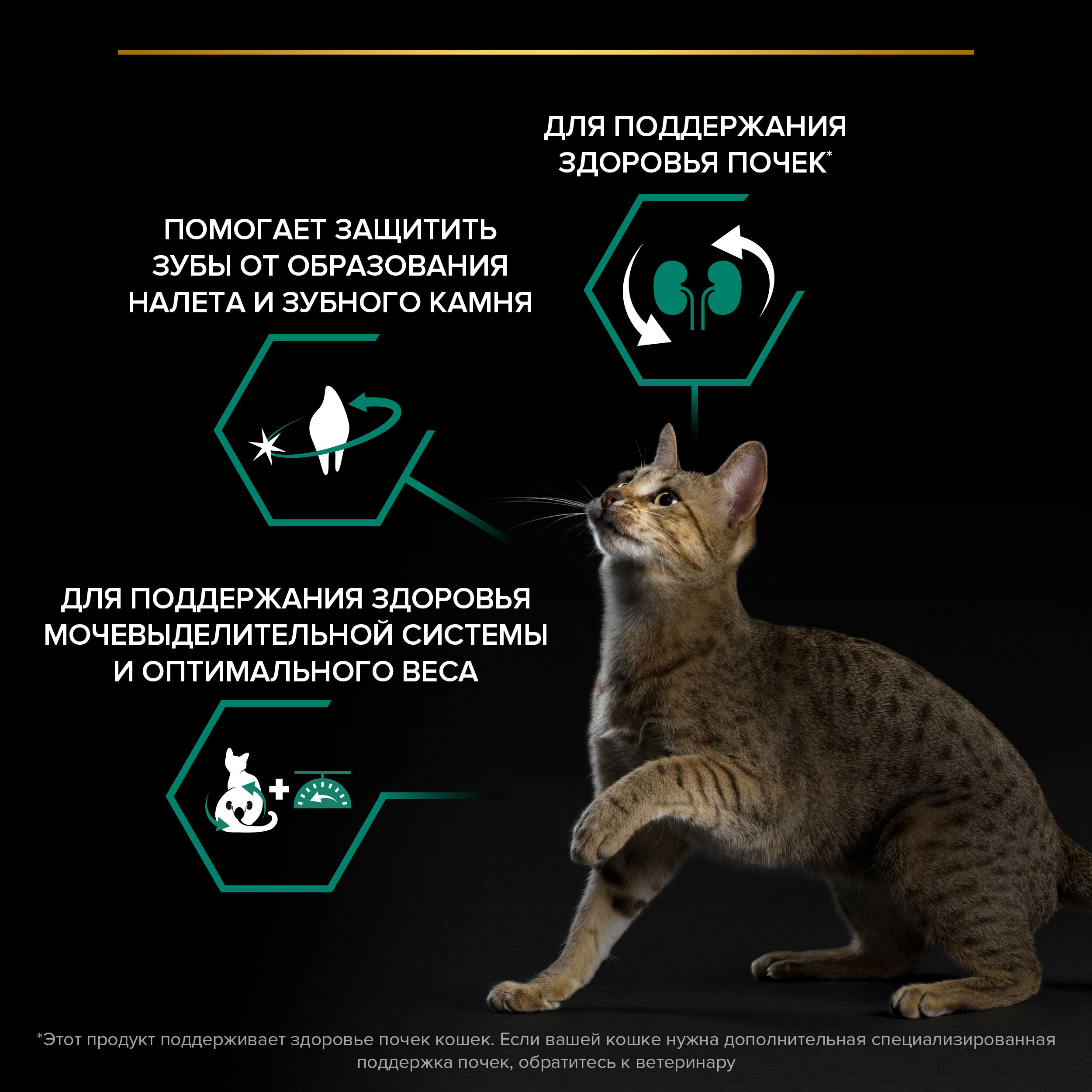 Сухой корм для кошек PRO PLAN для здоровья почек после стерилизации с кроликом, 200 г 7613036910828