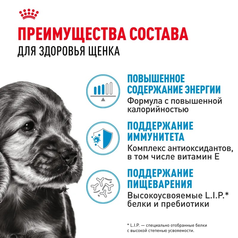 Влажный корм Royal Canin Mini Puppy для щенков мелких пород в возрасте до 10 месяцев, кусочки в соусе 85гр