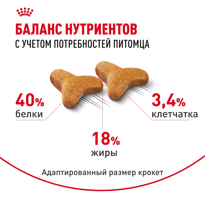 Royal Canin Royal Сanin Bengal Adult сухой корм для взрослых бенгальских кошек старше 12 месяцев 400гр