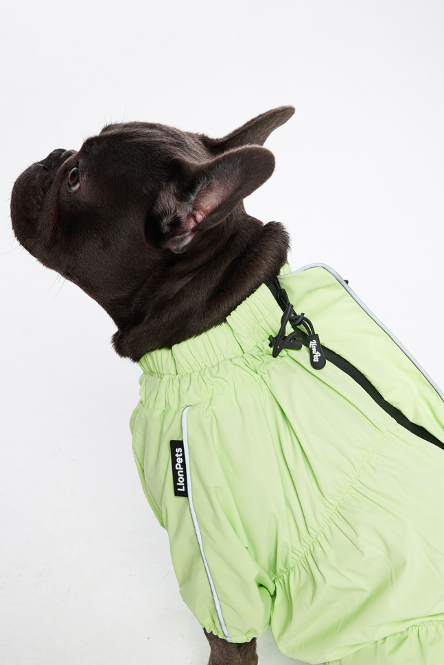 Дождевик LionPets Французский бульдог LPK9025-4 на девочку Цвет: Салатовый (девочка (спинка 41 см, обхват шеи 42-59 , обхват груди 46-66 см))