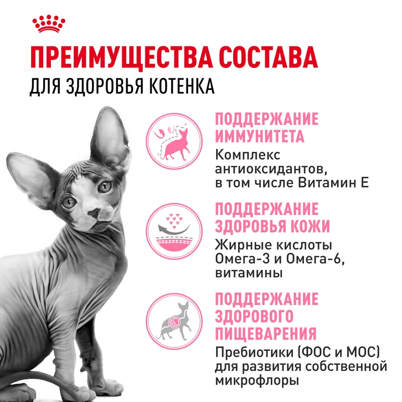 Сухой корм Royal Canin Sphynx Kitten, для котят породы сфинкс 400гр