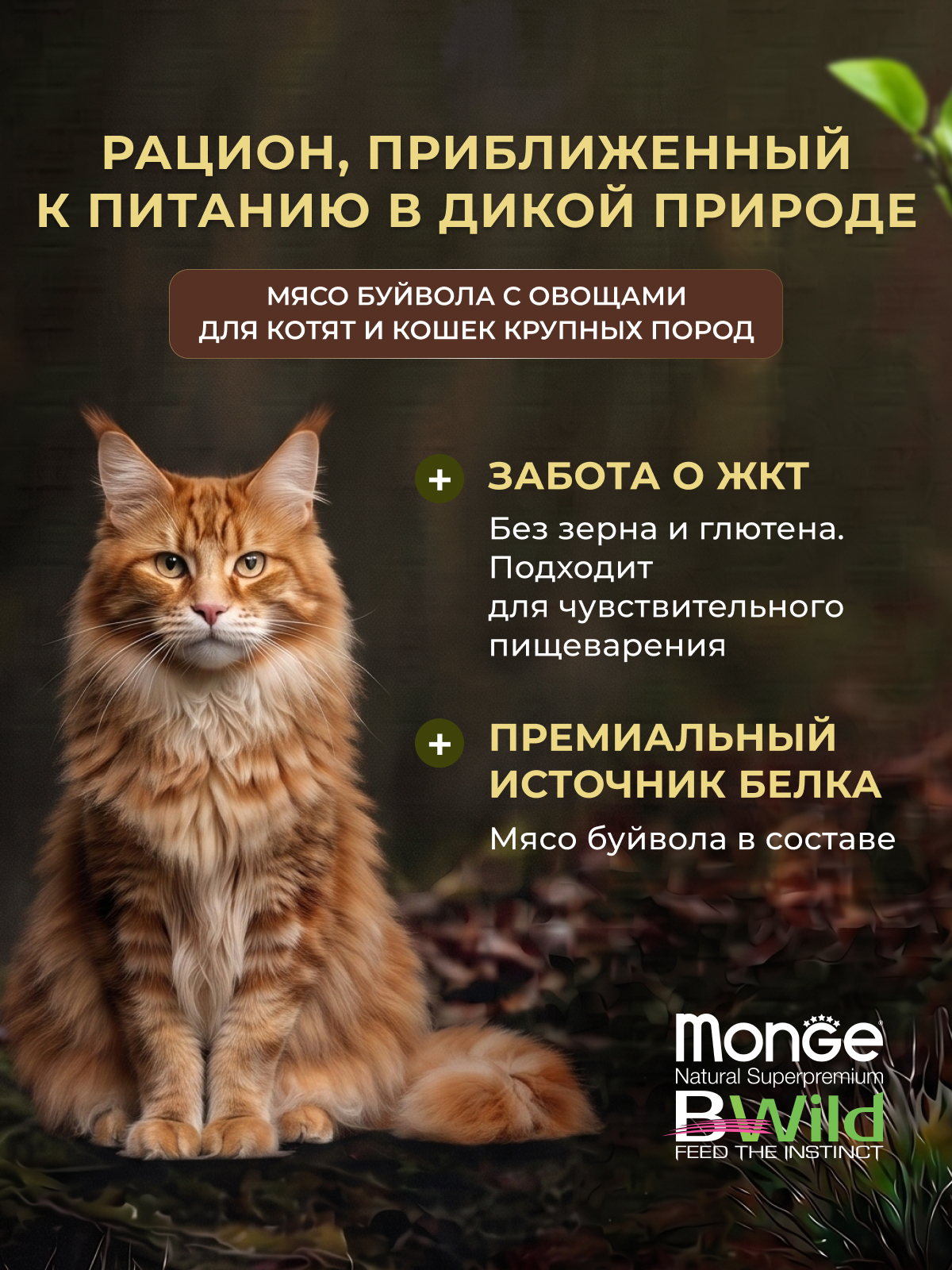Влажный корм Monge Cat BWild GRAIN FREE для котят и кошек крупных пород, из мяса буйвола с овощами, паучи 85 г