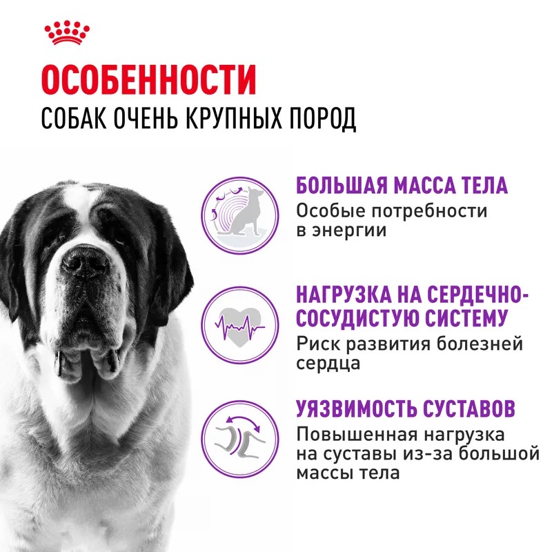 ROYAL CANIN Giant корм сухой для собак гигантских пород 15 кг 4627109384914