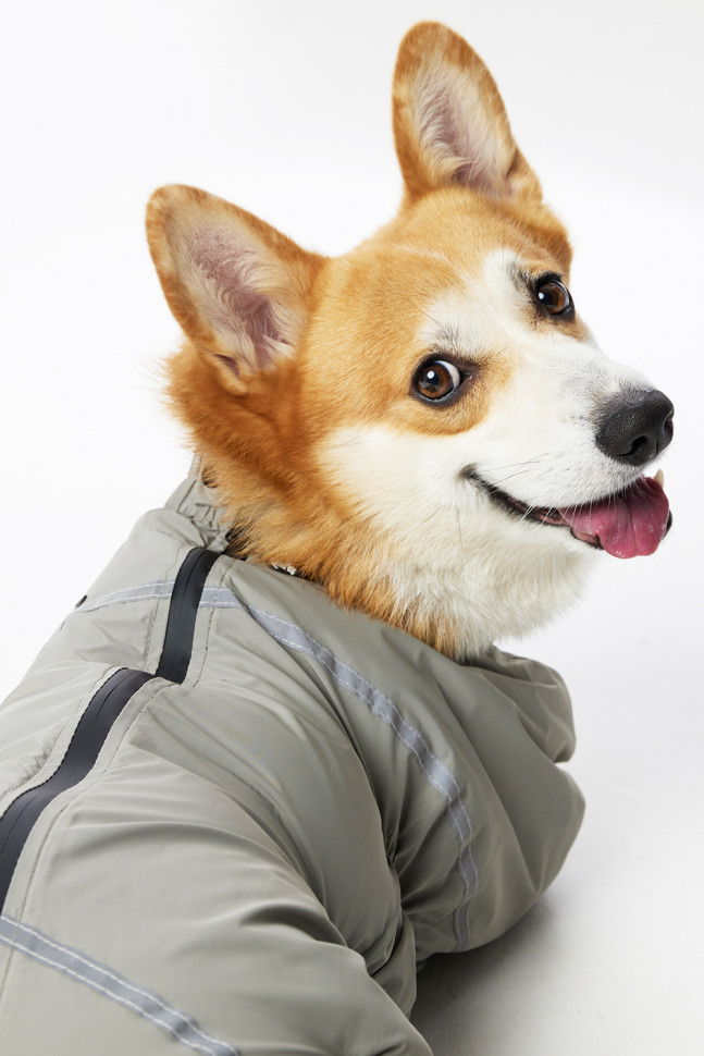 Дождевик LionPets Корги LPK-9125-133 на мальчика Цвет: Шалфей (мальчик Размер 1 (спинка 50, обхват шеи 40-50, обхват груди 50-62))