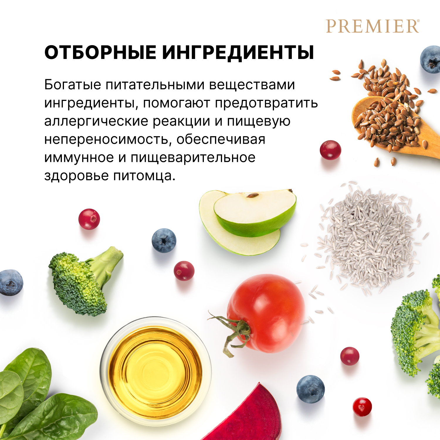 Premier Сухой корм для мелких собак с ягненком и индейкой 1 кг 5407007851461