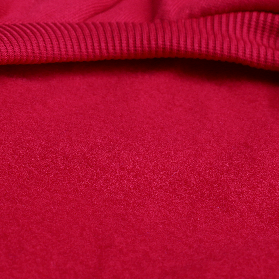 Худи для собак LionPets LPH-55 (Бордовый) (Размер M (спинка 25 см))