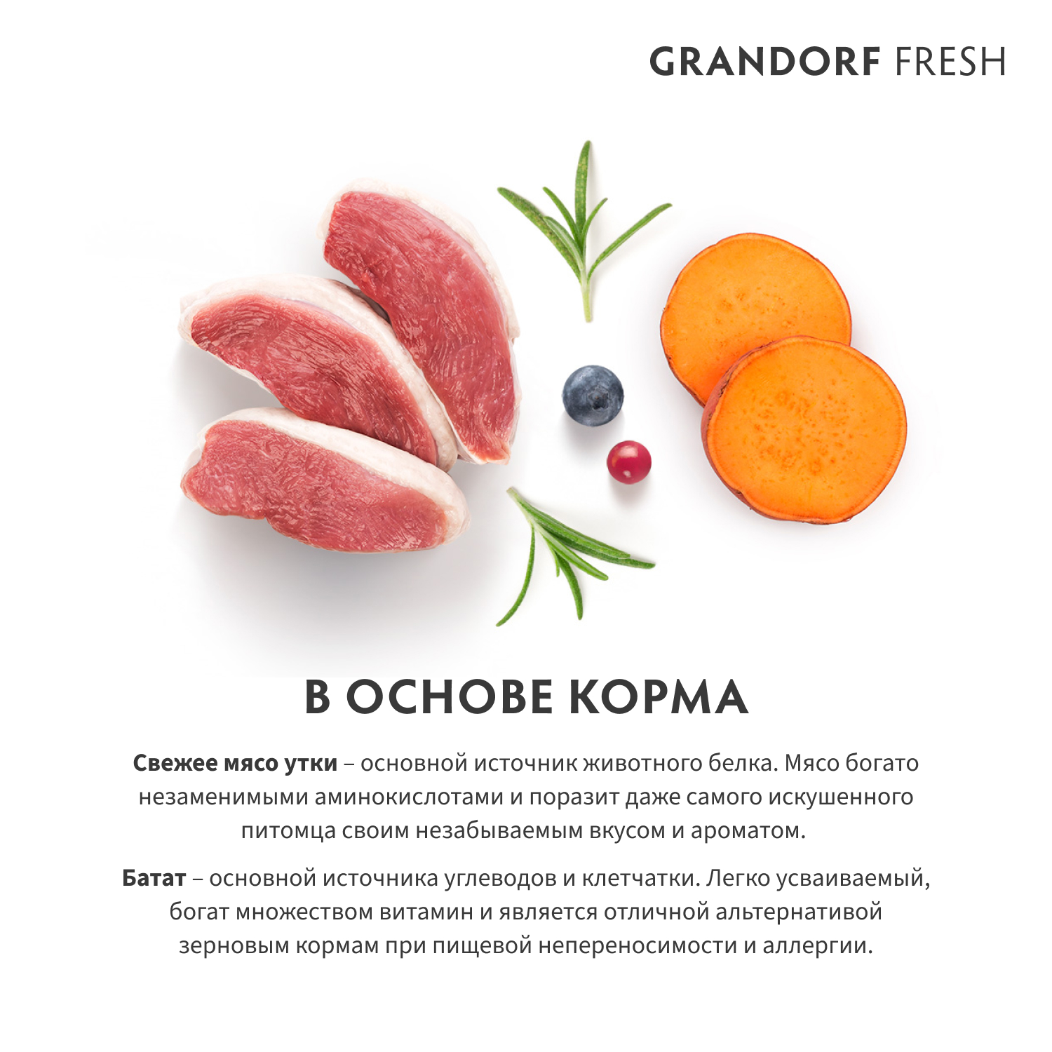 Grandorf Fresh Grandorf Сухой беззерновой корм для мелких собак с уткой 1 кг 5407007852833