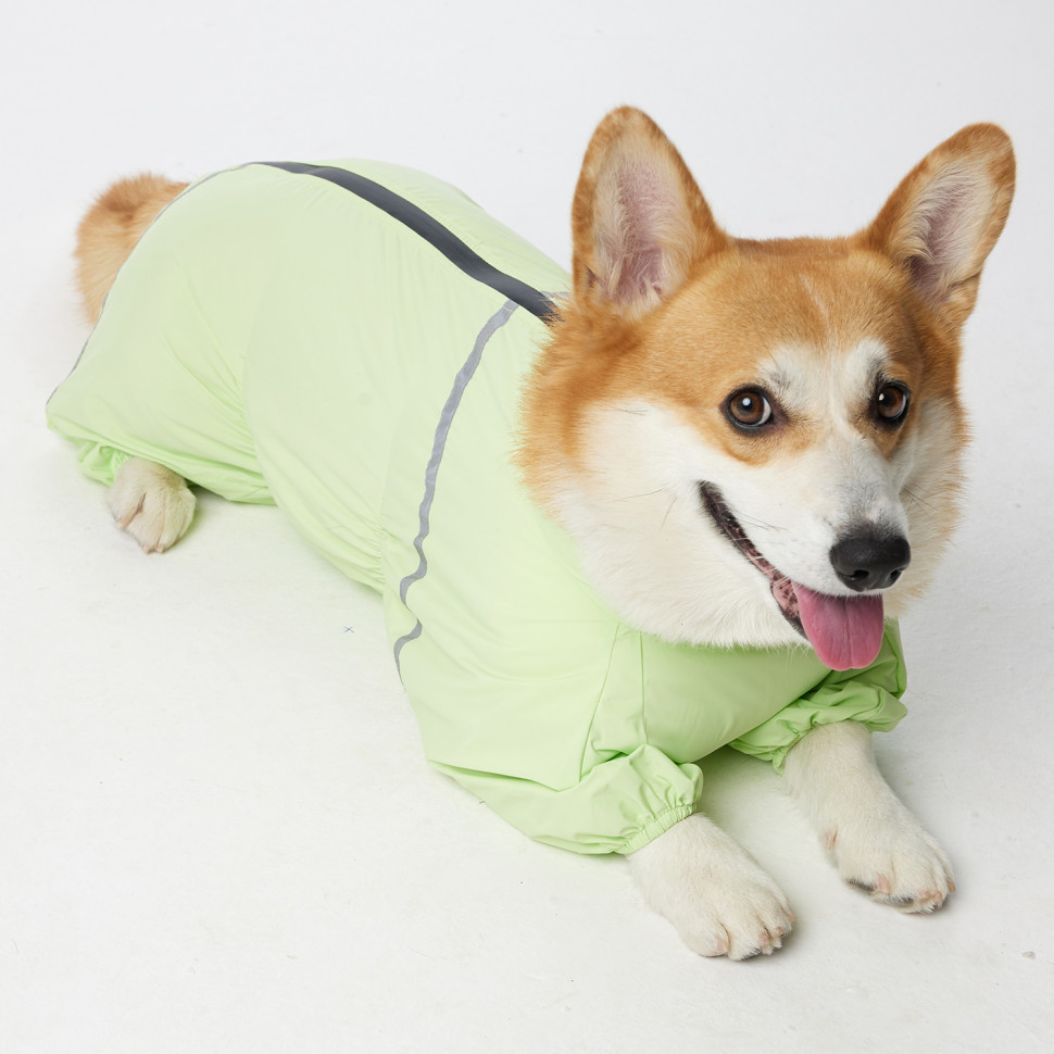 Дождевик LionPets Корги LPK-9125-4 на девочку Цвет: Салатовый (девочка Размер 3 (спинка 53, обхват шеи 40-48, обхват груди 60-82))