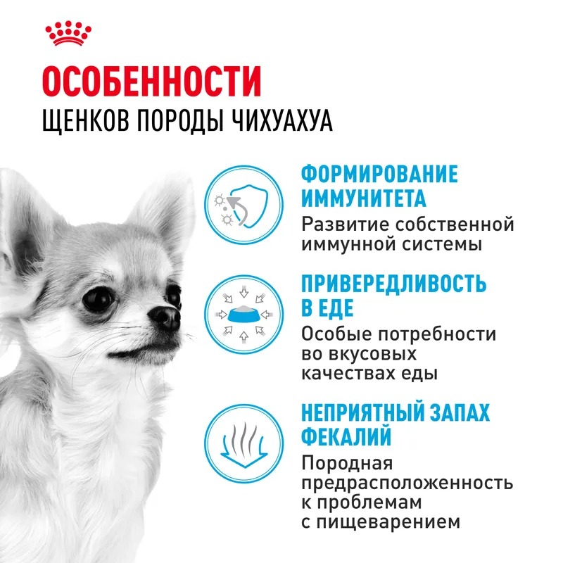 Royal Canin Сухой корм для щенков  Chihuahua Puppy, для породы Чихуахуа 1,5 кг