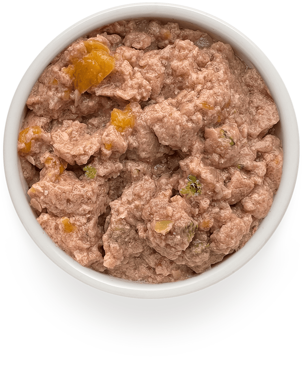 Grandorf Fresh Консервы для собак паштет из индейки с тыквой 200гр