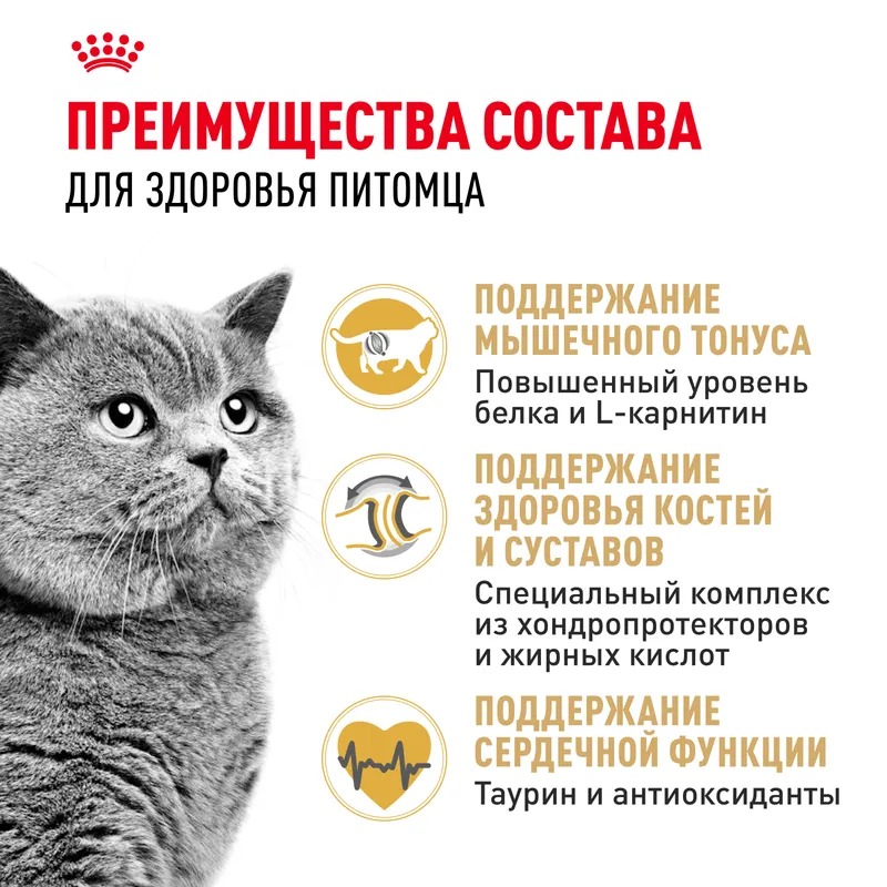 ROYAL CANIN British Adult корм для Британских кошек 400 гр 4627109382460
