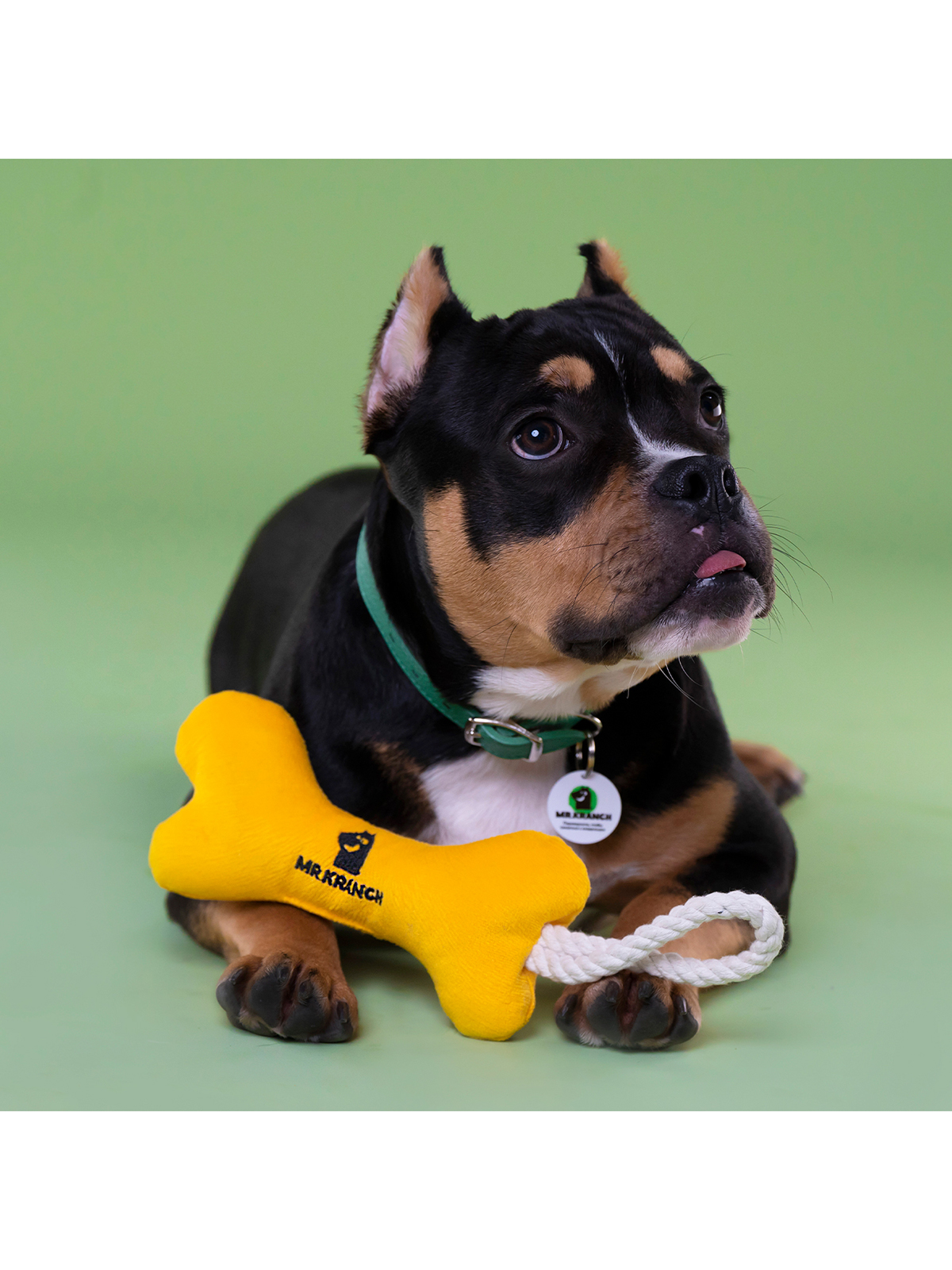 Игрушка Mr.Kranch для собак мелких и средних пород Косточка с канатом 31х9х4см, желтая