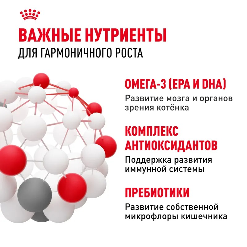 ROYAL CANIN Kitten сухой корм для котят до 12 месяцев 300 гр 4627166861557