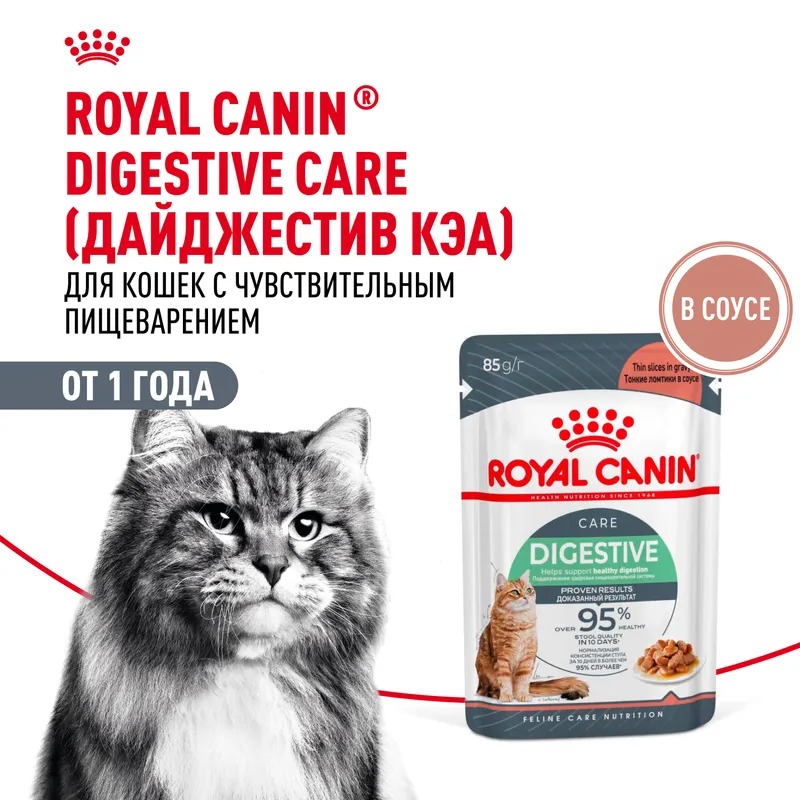 ROYAL CANIN Digest Sensitive корм для кошек соус 1 шт-85 гр 4627180245203