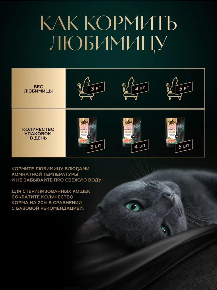 Sheba Влажный корм для кошек, форель и креветки в соусе, 75гр