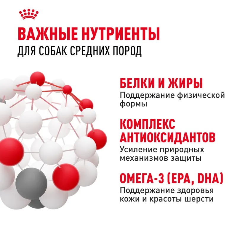 ROYAL CANIN Medium Adult для собак средних пород 3кг 4627109389728