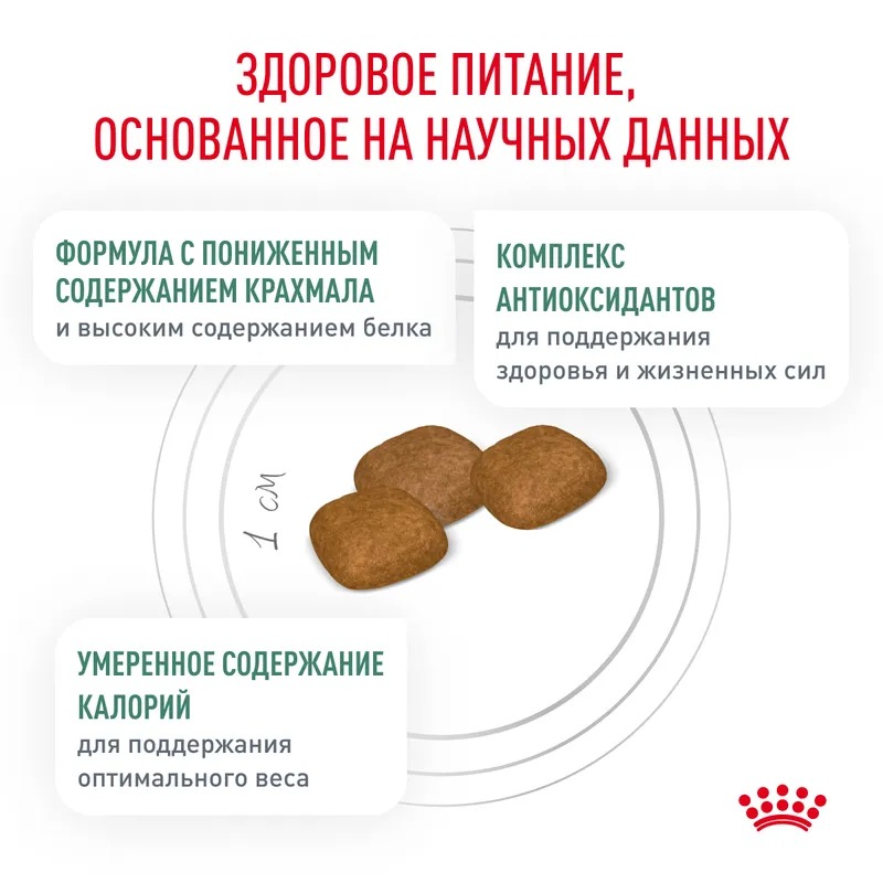 ROYAL CANIN Diabetic корм для собак при диабете 12 кг 3182550798952