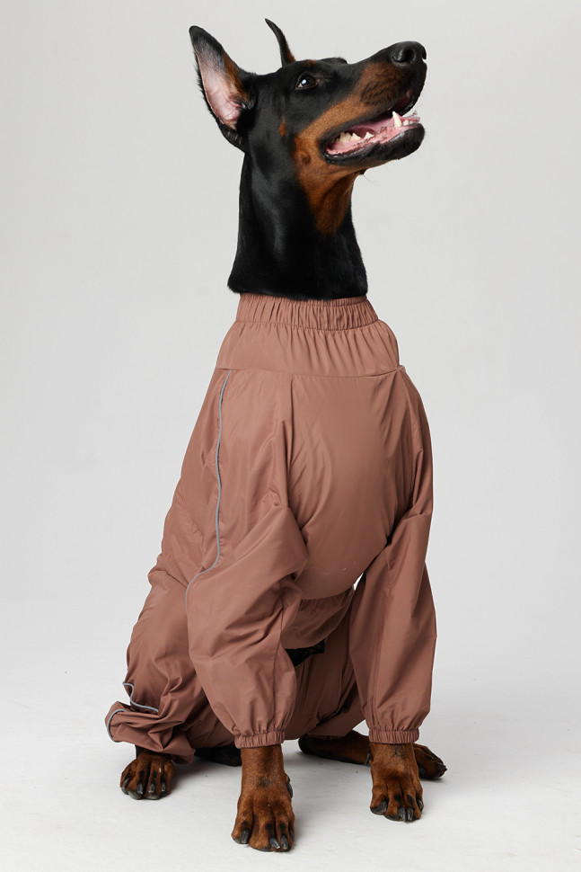 Дождевик LionPets SDK-2550-128 на девочку, цвет: Шоколадный (Размер 1 (спинка 54 см, обхват шеи 32-50 см, обхват груди 44-66 см))