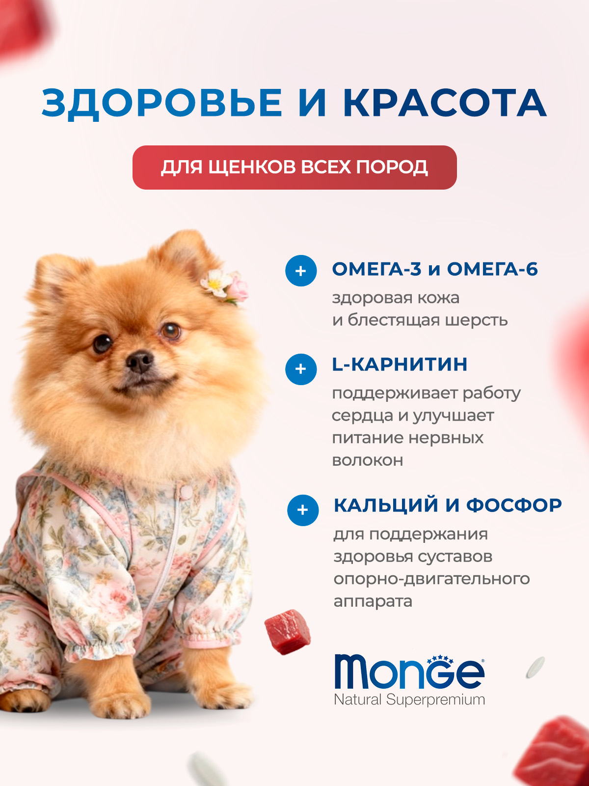 Monge Сухой корм для щенков всех пород, из ягненка с рисом 800 г