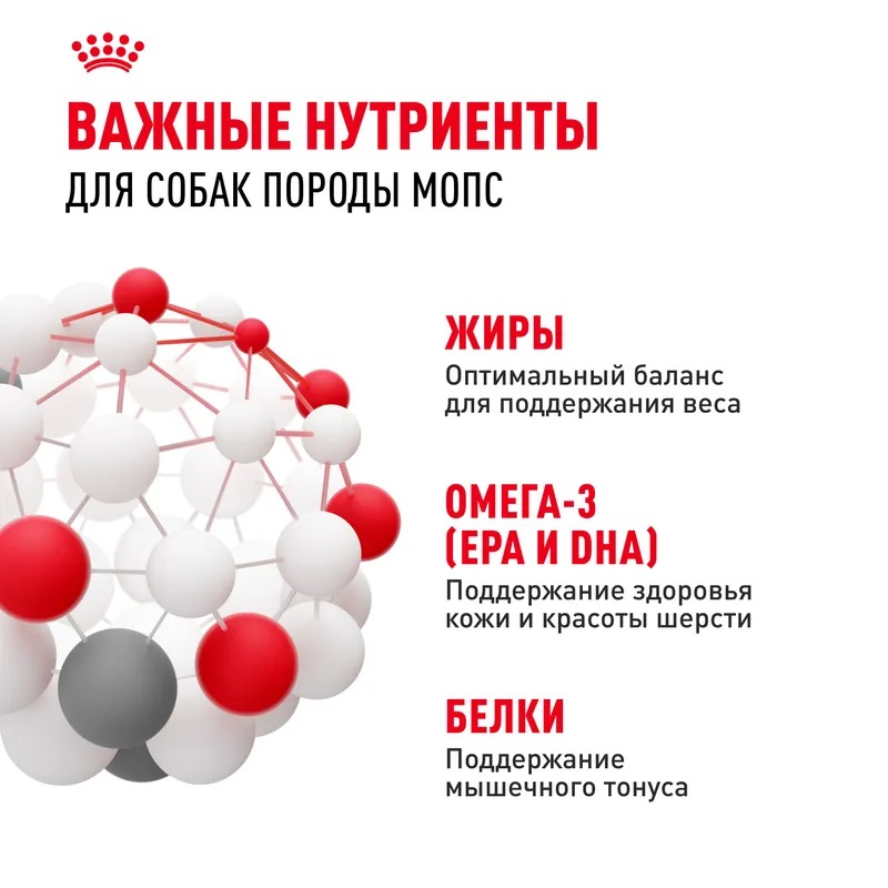 ROYAL CANIN Pug корм сухой для взрослых собак породы мопс 1,5 кг 4627109384075