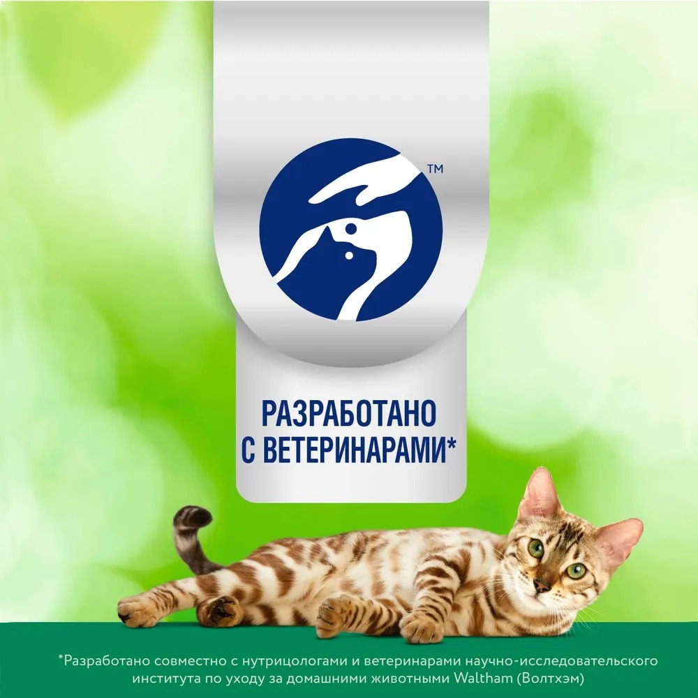 PERFECT FIT Immunity Влажный корм для кошек, с говядиной в желе, 75гр
