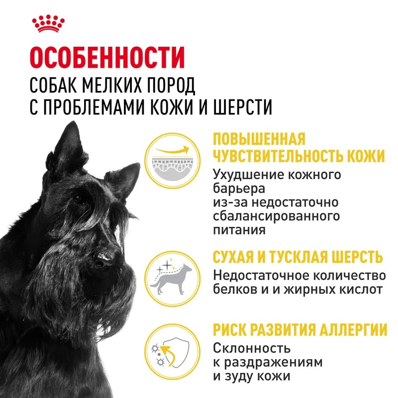 ROYAL CANIN Derma Корм для мелких собак при раздражениях и зуде кожи 3кг 4627150231519