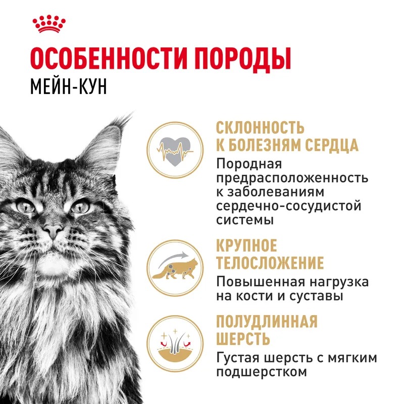 ROYAL CANIN Корм соус кошка породы Мэйн Кун 1шт-85гр 4627180240277
