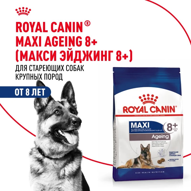 Royal Canin Maxi Ageing 8+ Сухой корм для пожилых собак крупных пород 15 кг