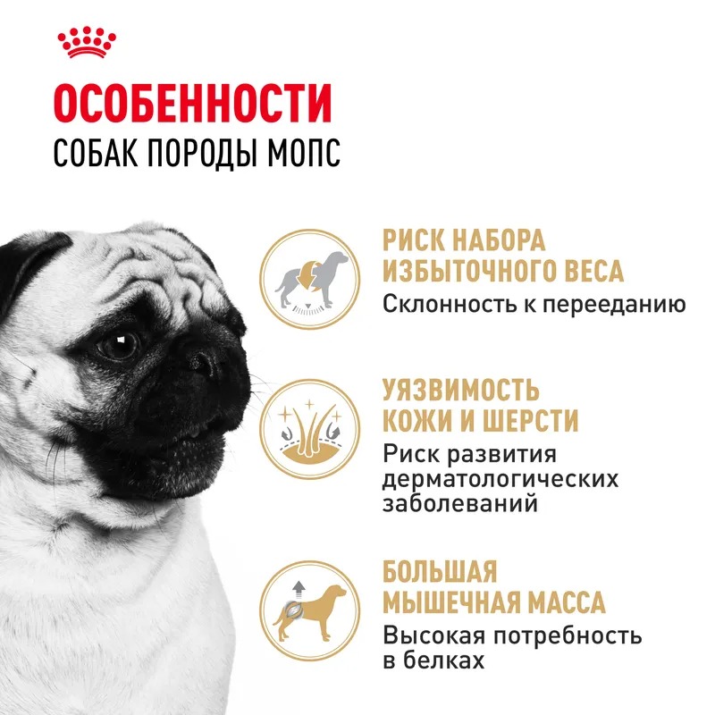 ROYAL CANIN Pug корм сухой для взрослых собак породы мопс 1,5 кг 4627109384075