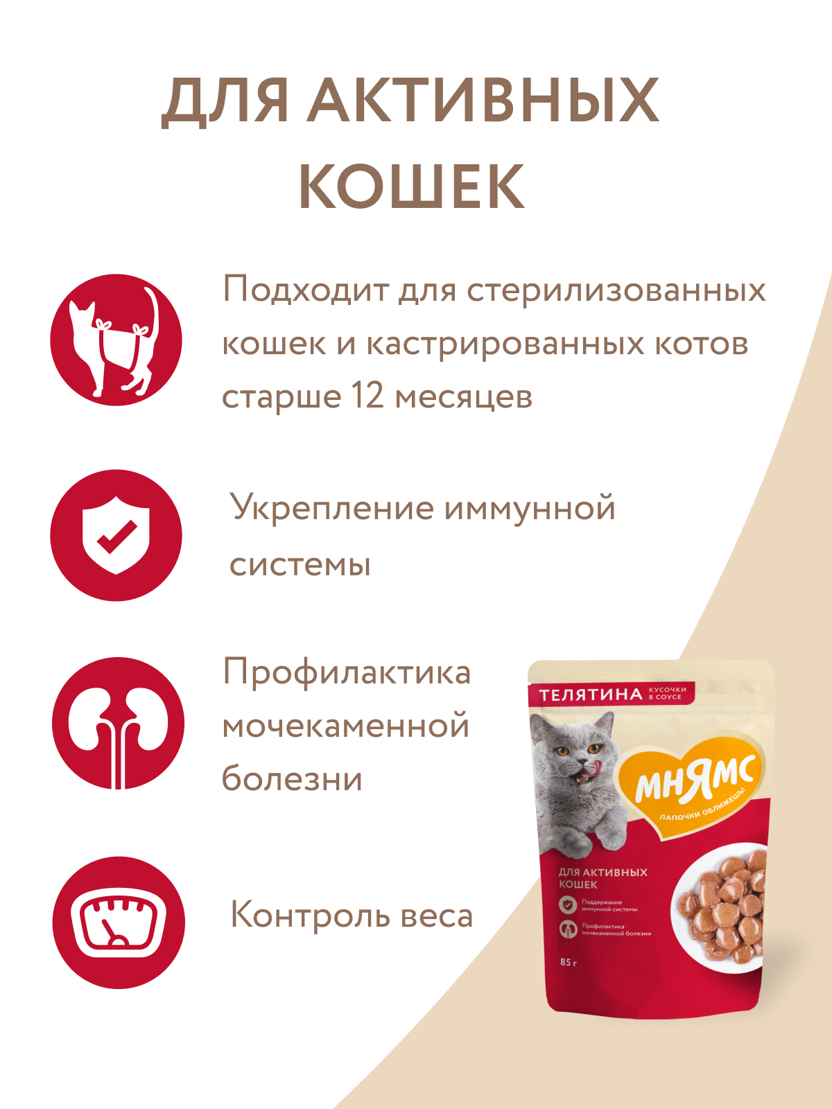 Мнямс Влажный корм для активных кошек, кусочки в соусе с телятиной, 85 г