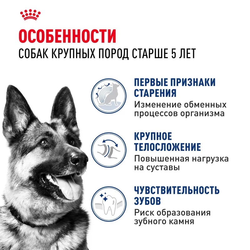 Royal Canin Maxi Adult 5+ Сухой корм для собак крупных пород старше 5 лет 15кг