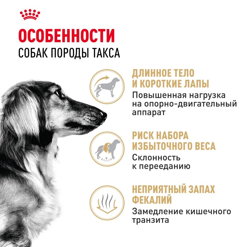 Royal Canin Dachshund Adult  Сухой корм для собак породы Такса 7,5 кг
