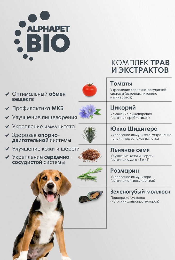 AlphaPet Superpremium Сухой корм для собак средних пород с говядиной и потрошками 2 кг 4670064651393