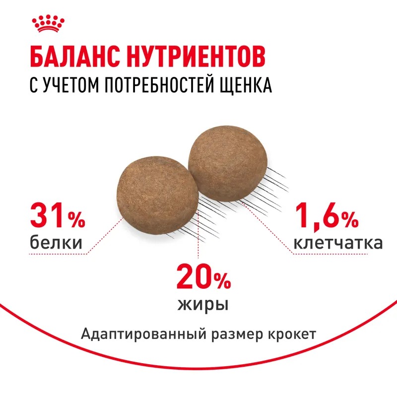 Сухой корм ROYAL CANIN Mini Puppy для щенков мелких пород до 10 месяцев 4 кг 4627109387625
