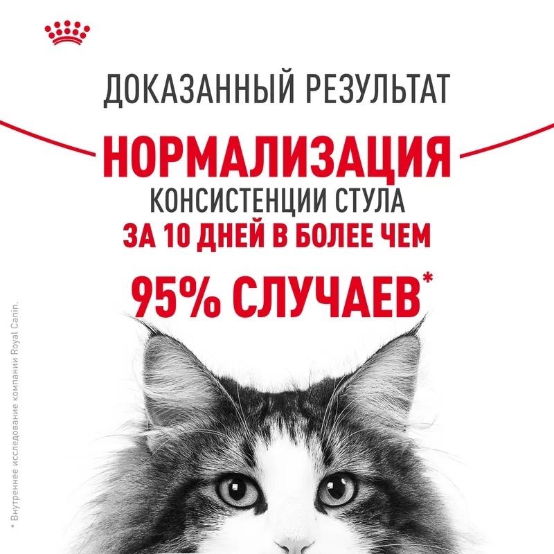 ROYAL CANIN Digest Sensitive корм для кошек соус 1 шт-85 гр 4627180245203