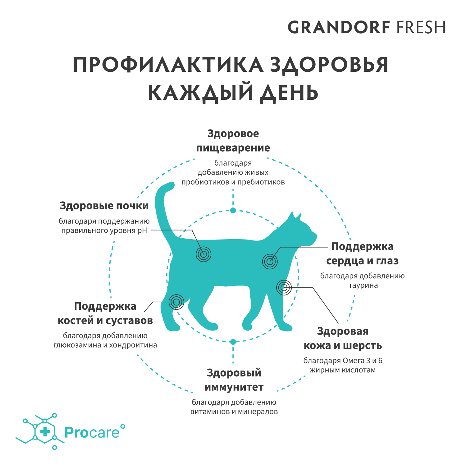 Grandorf Fresh Grandorf Сухой беззерновой корм для кошек с лососем 400 гр 5407007852574