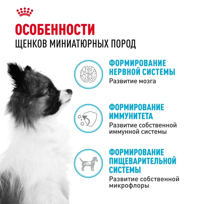 ROYAL CANIN X-Small Сухой корм для щенков миниатюрных пород 1,5 кг 4627109387496