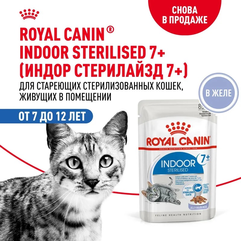 Royal Canin Indoor Sterilised 7+ Влажный корм для кошек живущих в помещении, мелкие кусочки в желе, 85гр